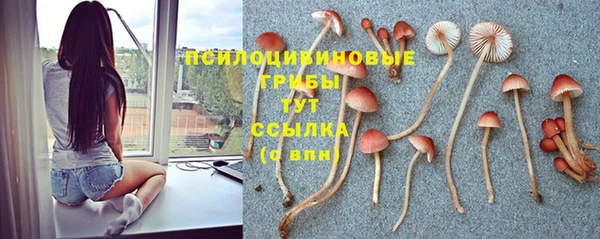 соль курить ск Магас